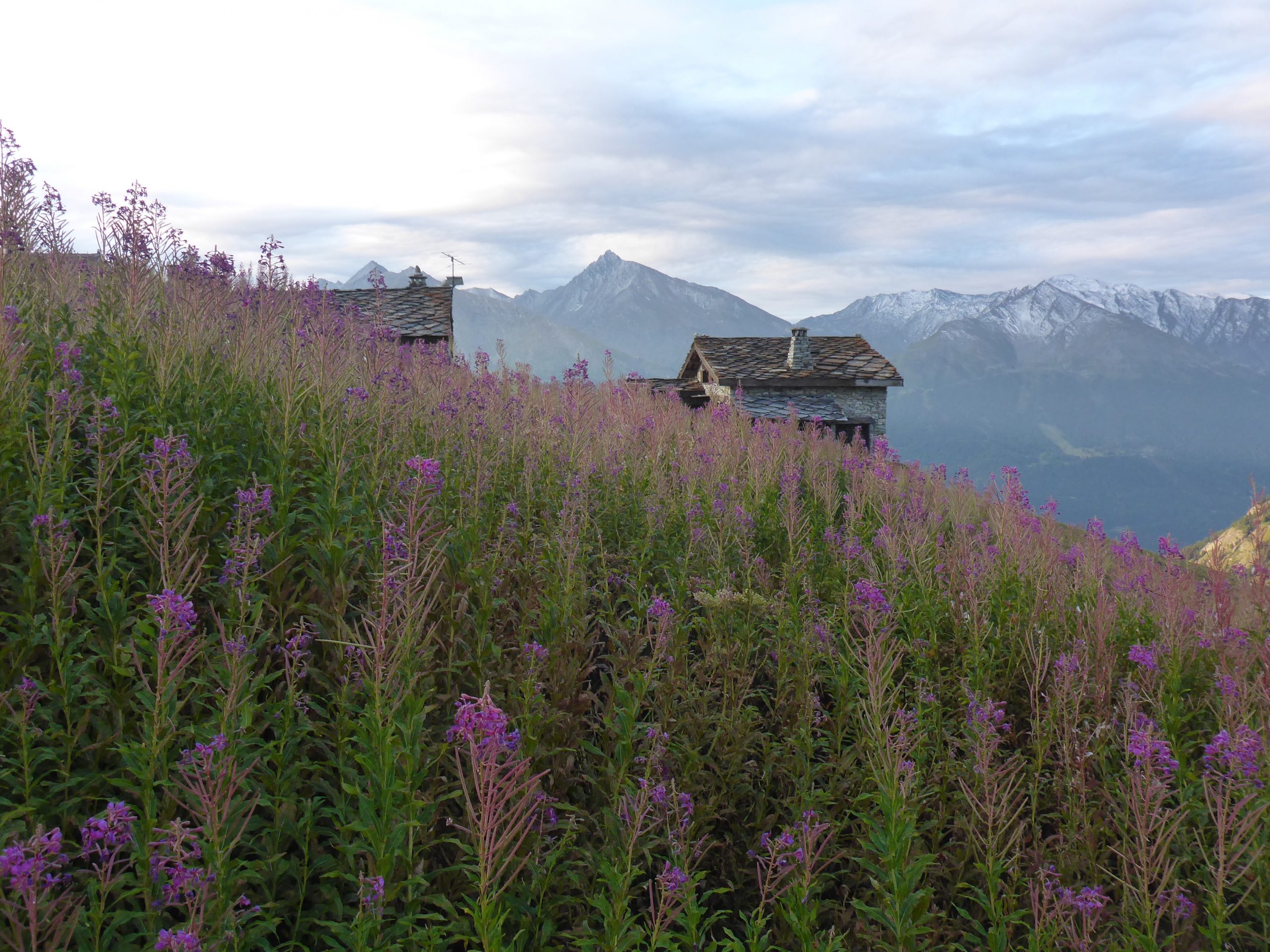 Hut to hut in the French Alps